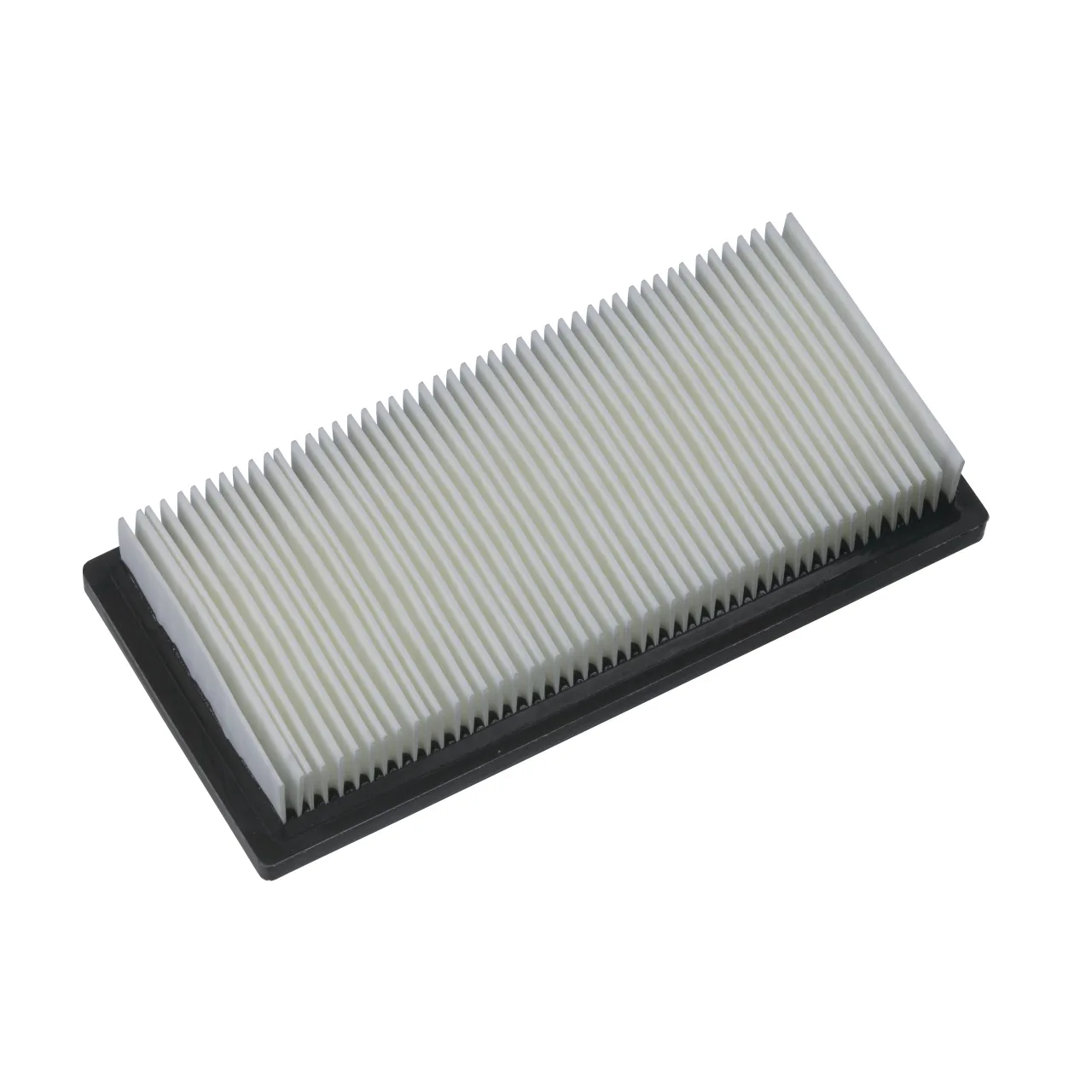 Filtre (2 x) Filter Cartridges