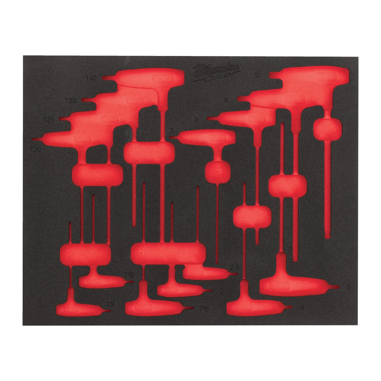 15 pc Mixed T-Key Set Foam Insert
